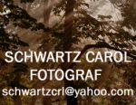 Fotograf CAROL SCHWARTZ